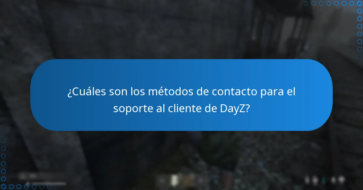 ¿Dónde puedo encontrar soporte oficial para problemas de DLC de DayZ?